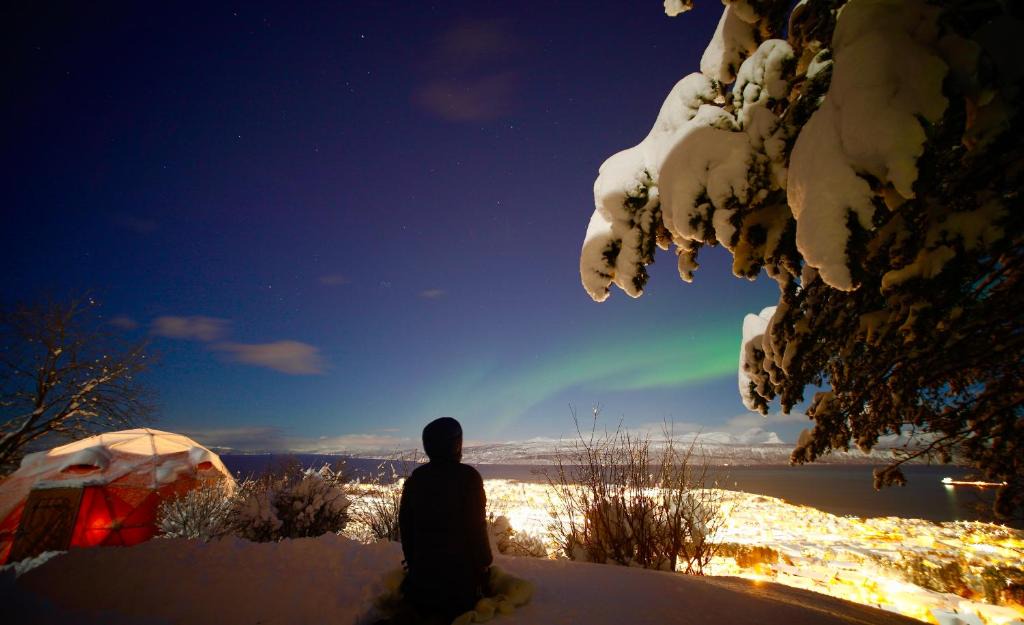 Narvik Other | Narvik Adventures AS