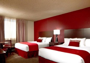 Everything You Need For A Comfortable Stay! 4 Modish Units, Free Parking, Casino in Laughlin