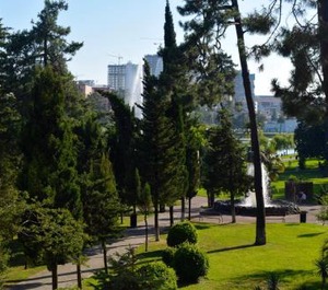 Park 