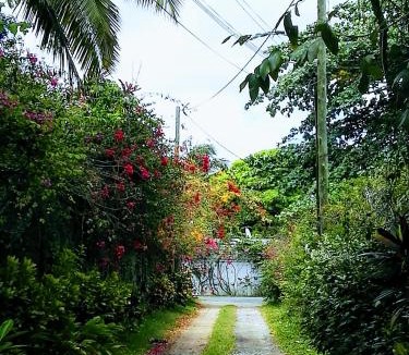Pereybere Villa | Beautiful Villa with Pool and Amazing Garden