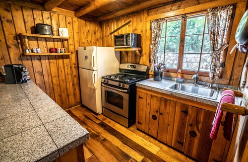 Evergreen Cabin | Colorado Bear Creek Cabin 5