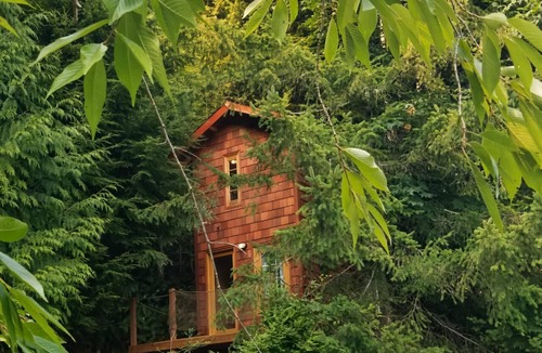 Snohomish Cabin | Treehouse Place at Deer Ridge Featured top 10 USA