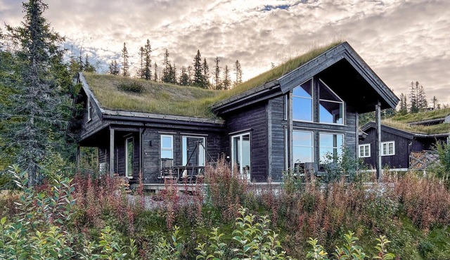 4 bedroom accommodation in Eggedal in Eggedal