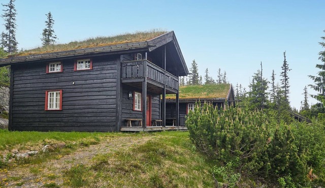 Amazing home in Eggedal with sauna in Eggedal