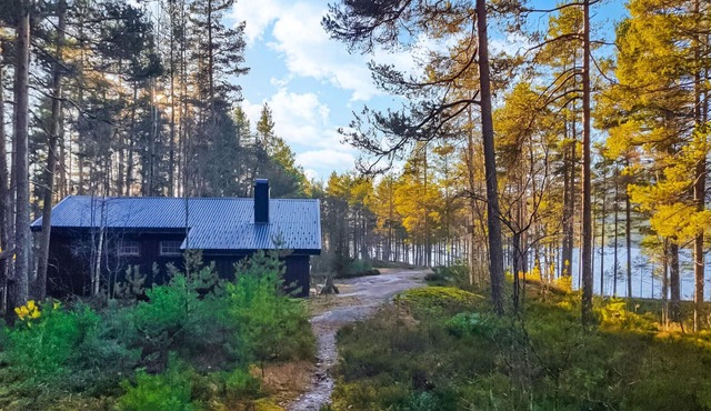Awesome home in Fyresdal with kitchen in Fyresdal