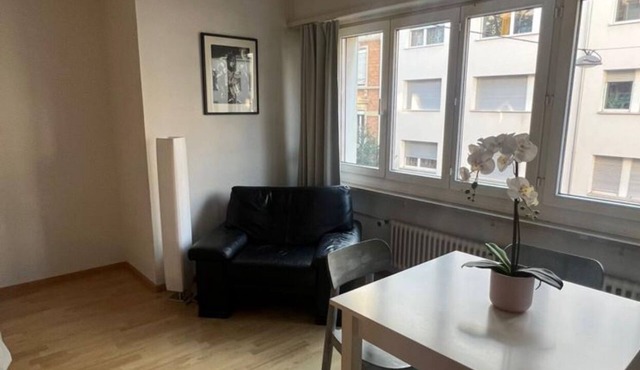 Basel Schweiz Apartment 302 in Basel