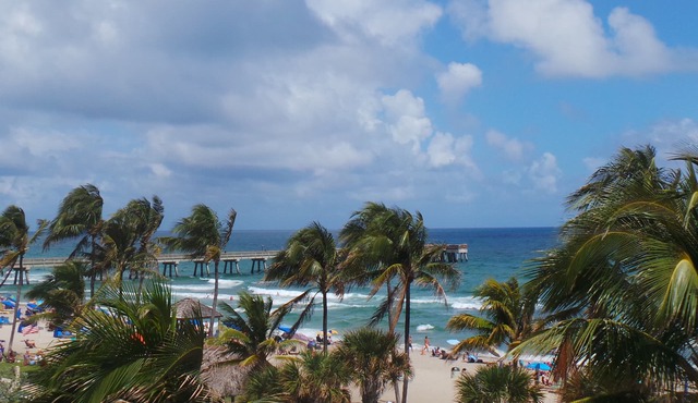 Beachfront! Direct Ocean! as Close as You Can Get to Dfb Pier! in Deerfield Beach