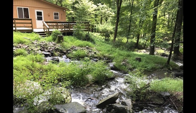 Bushkill Falls Cabin in Bushkill