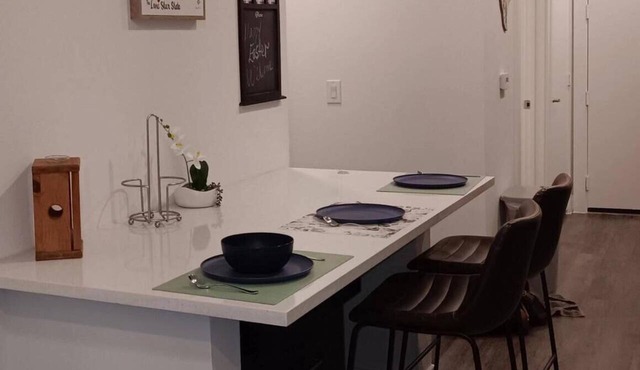 Cozy 1-bd 1 bth downtown SA near convention center, Riverwalk alamodome pearl in San Antonio