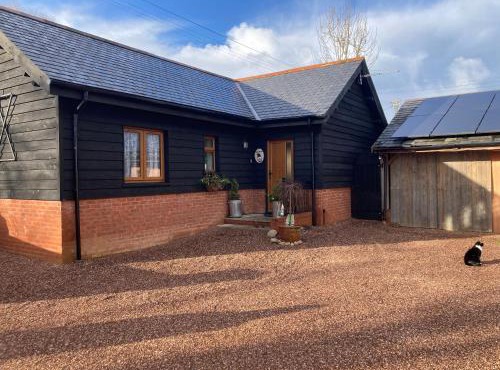Cozy Gnome Cottage Annex near Sidmouth in Ottery Saint Mary