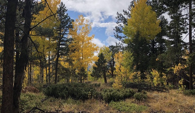 Gorgeous Fall Colors at Quartz Point Ranch: 20 beautiful acres to roam! in Black Hawk