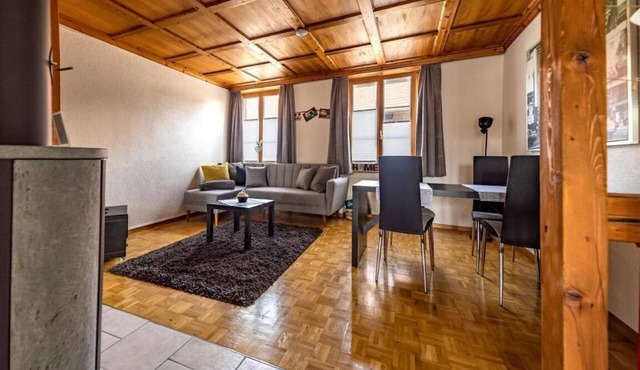 Holiday apartment Ellikon an der Thur for 2 - 3 persons with 1 bedroom - Holiday apartment in Ellikon an der Thur