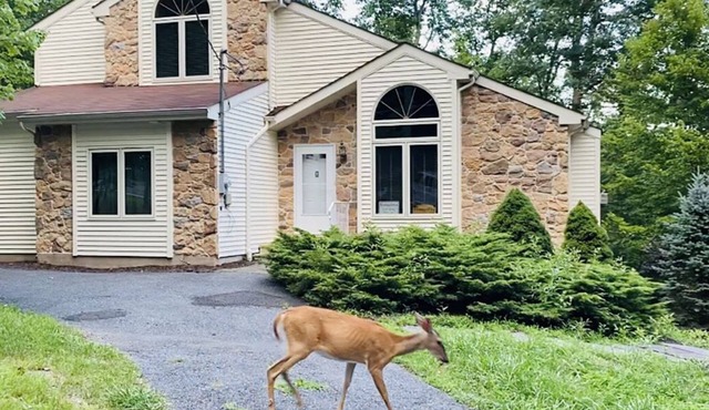 Hot Tub, Pool, Game Room and more fun for the whole family in East Stroudsburg