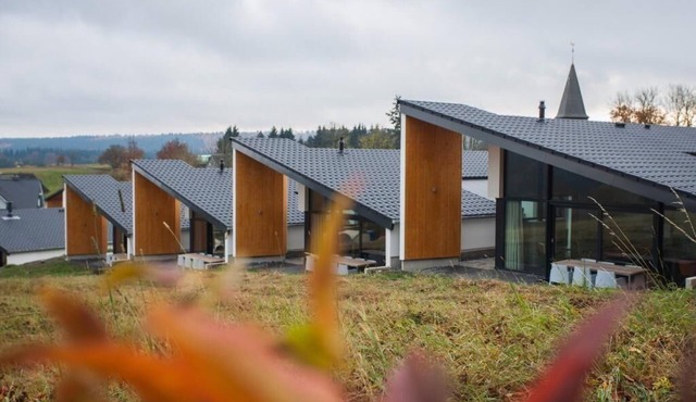 Luxus Villa Winterberg in Winterberg