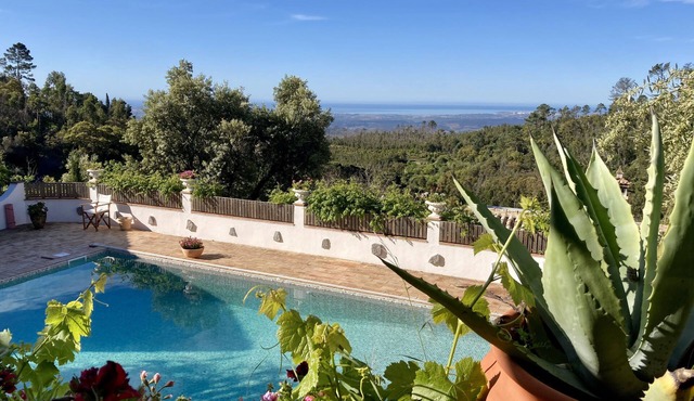 Mountain Retreat in Magical Setting with Heated Pool and Beautiful Garden in Monchique