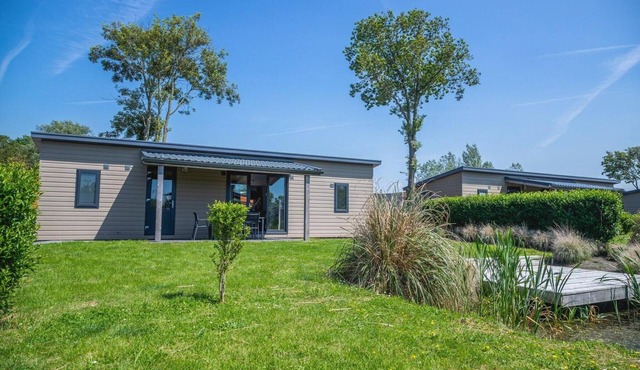 Nature Escape with Pets in Drenthe in West-Graftdijk