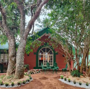 Nestinggrounds in Mudigere