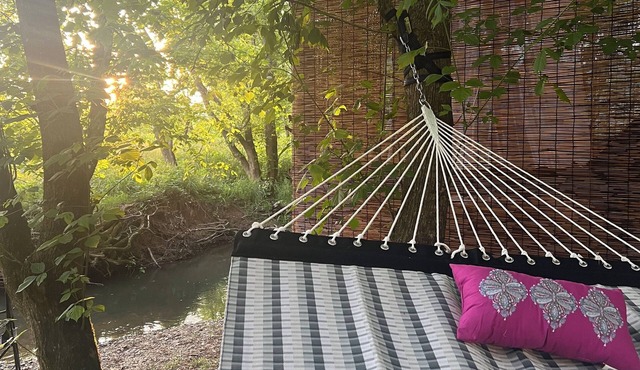 Off-grid creekside treehouse w/fire-pit, hammock in Greeneville