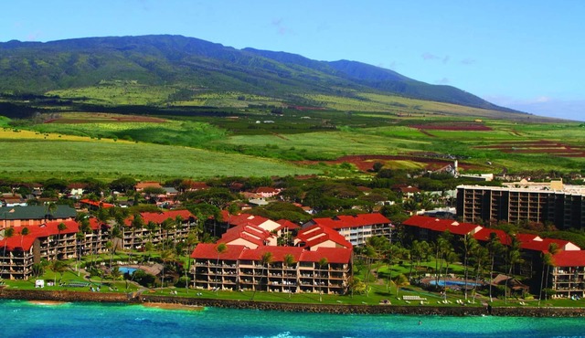 Papakea Resort - Beautiful Ocean View Studio - NO Resort Fee in Lahaina