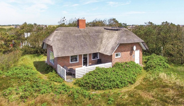 Pet friendly home in Hvide Sande in Hvide Sande