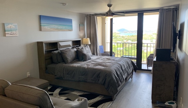 Renovated/new condo-Walk to Beach, Marina, Pools. Red Hook, Ferry, Bars near by! in St. Thomas