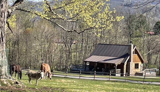 Romantic "Morning Glory” for 2 has a tranquil setting across from a horse farm! in Dryfork