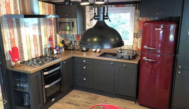 Sandy Balls Holiday Park Pet Friendly Lodge in Fordingbridge