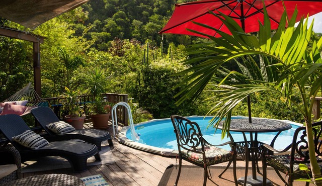 “Secluded Romantic Villa with Private Pool—Nestled in Lush National Park Beauty” in St John