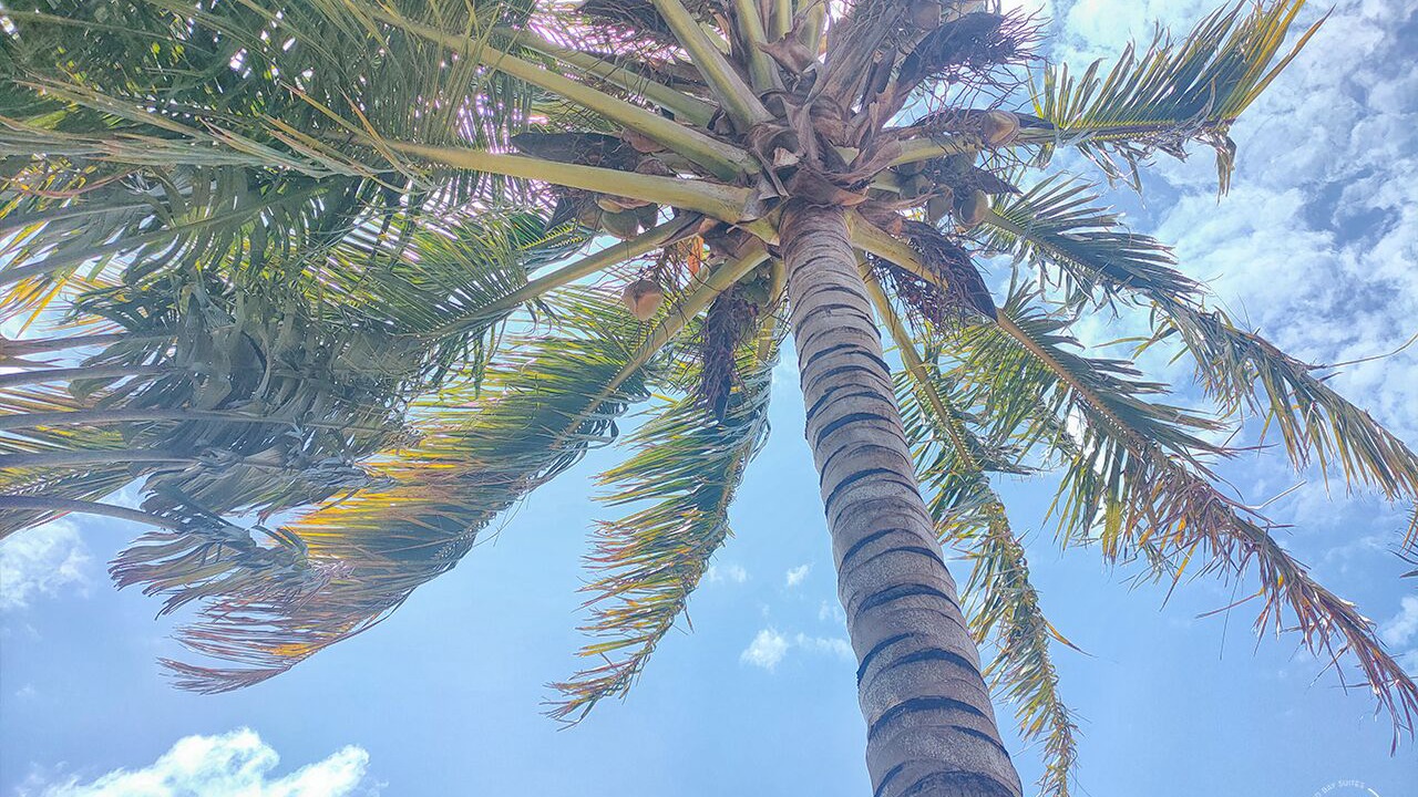 Photo of Outdoor in Grand-Baie