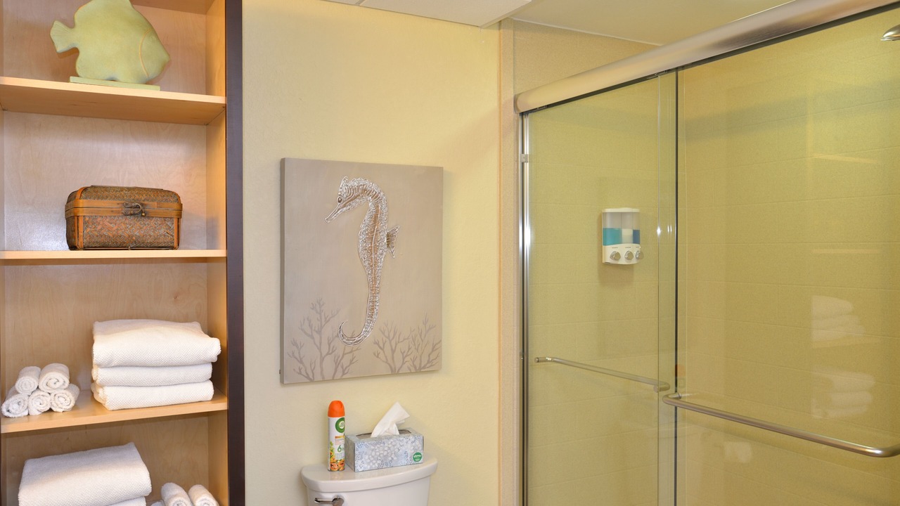 Photo of Bathroom in Indian Rocks Beach