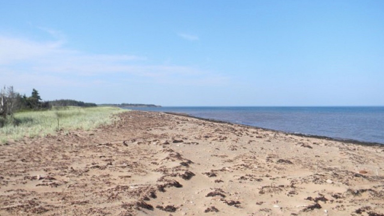 Photo of Others in Murray Harbour North