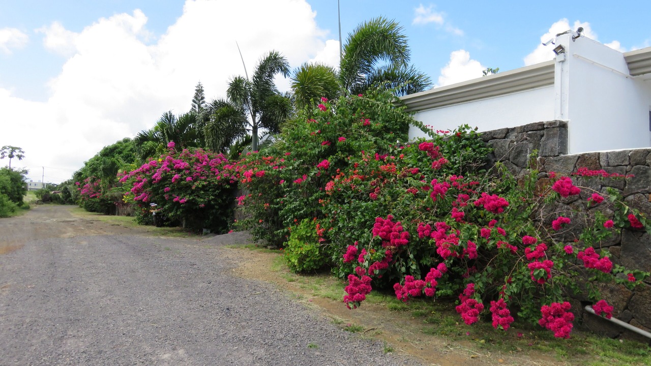Photo of Outdoor in Pereybere