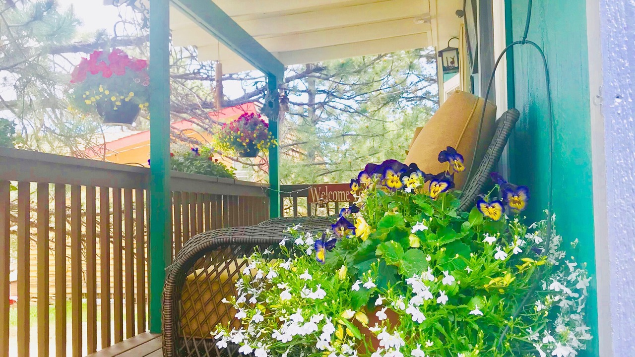 Photo of Outdoor in Estes Park