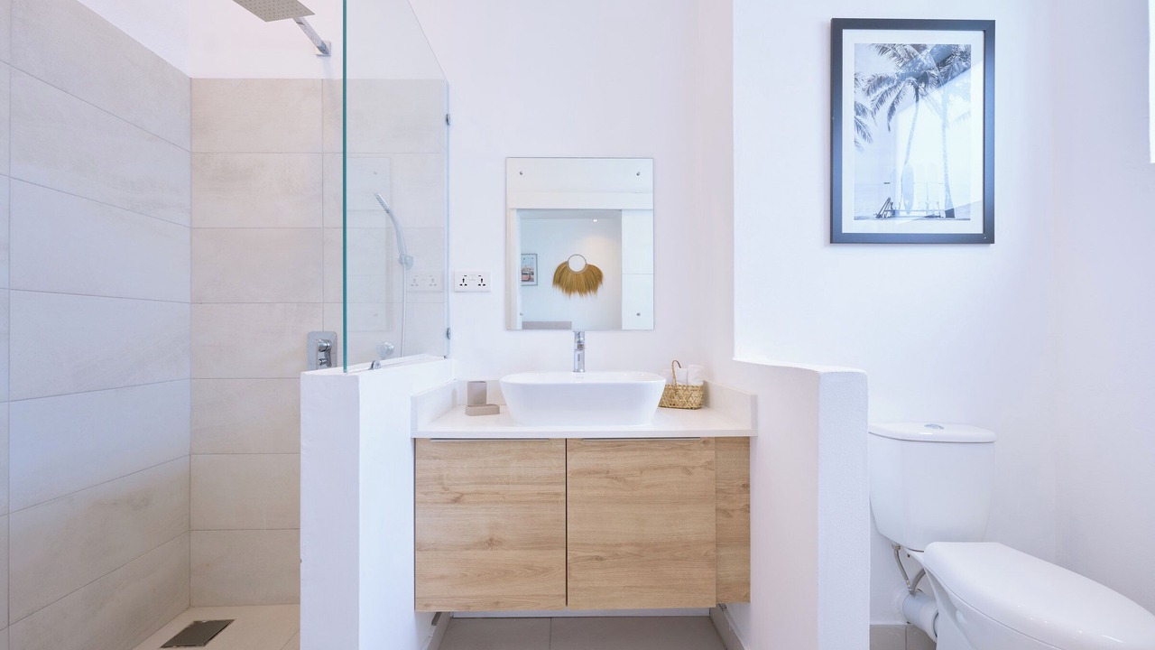 Photo of Bathroom in Pointe aux Canonniers