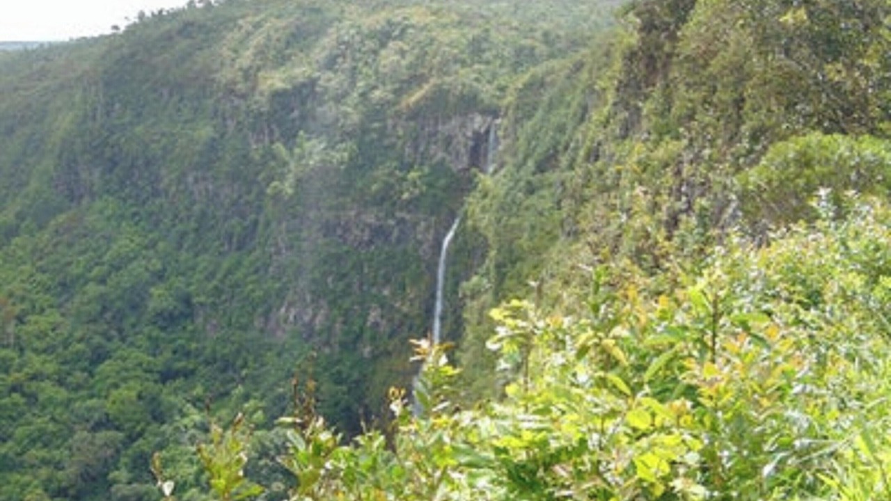 Photo of Others in Pereybere