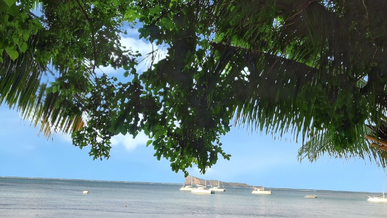 Photo of Others in Grand-Baie
