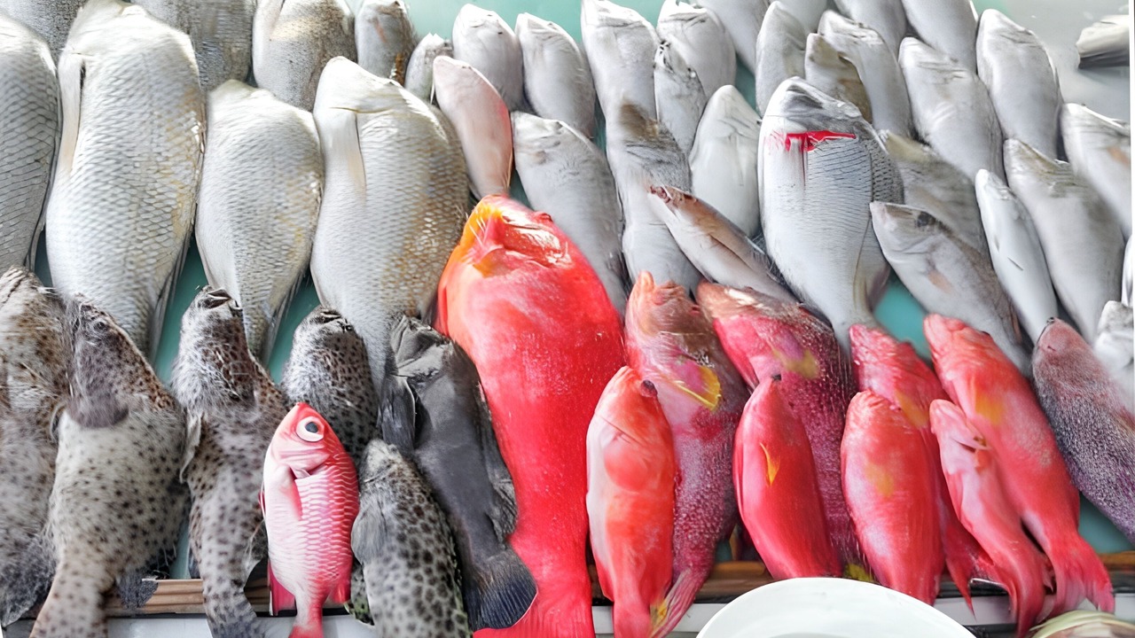 Photo of Others in Grand-Baie