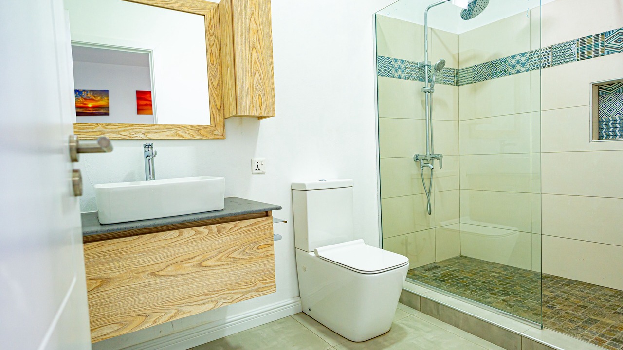 Photo of Bathroom in Pointe aux Canonniers
