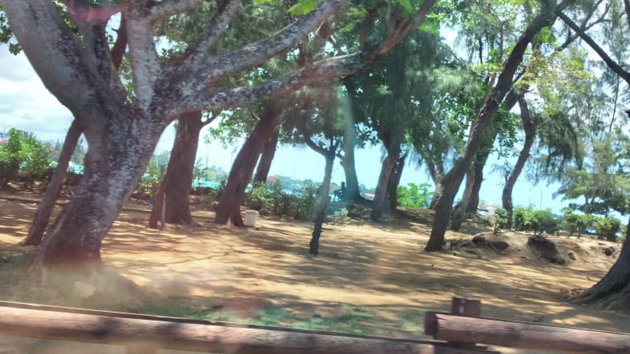 Photo of Outdoor in Pereybere