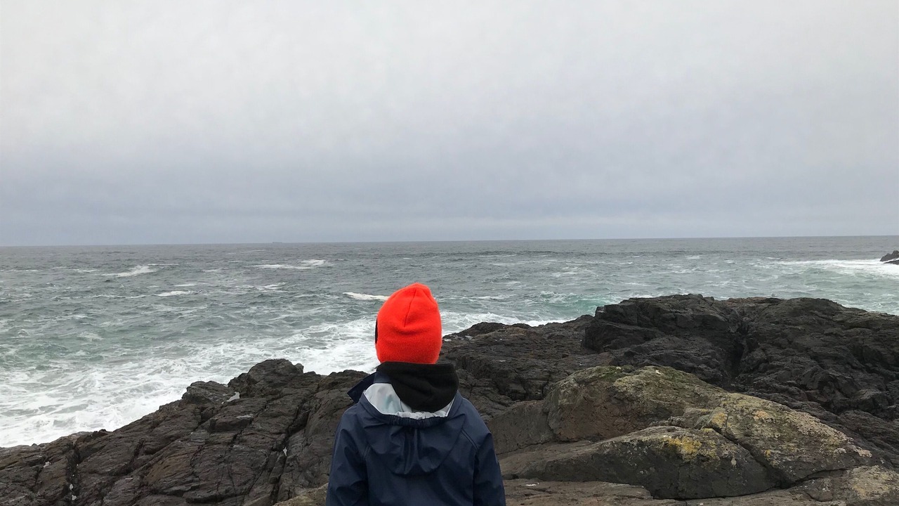 Photo of Others in Ucluelet