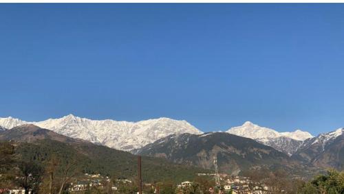 Riva dreams in Dharamshala